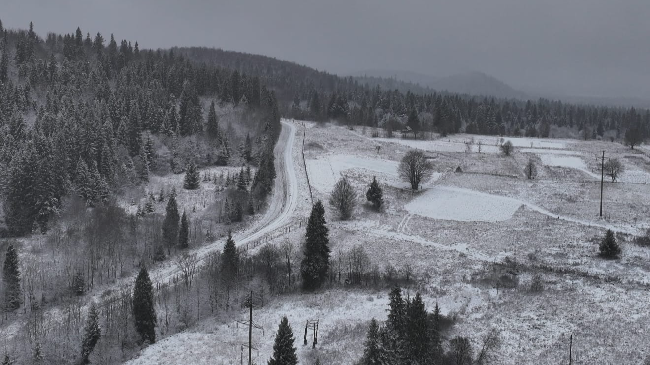 сніг на Львівщині