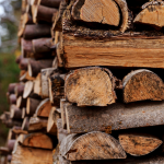 Яка ціна на дрова у волинських лісництвах