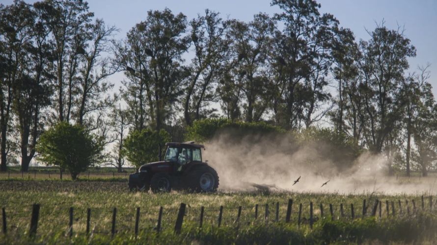 Комплексний підхід до вирощування культур для максимального врожаю