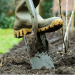 Як підготувати теплицю до зими, щоб навесні все росло, як на дріжджах