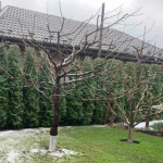 полив саду, догляд за садом