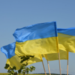 У Турійській громаді висадили 100 кущів калини в пам’ять про воїнів УПА
