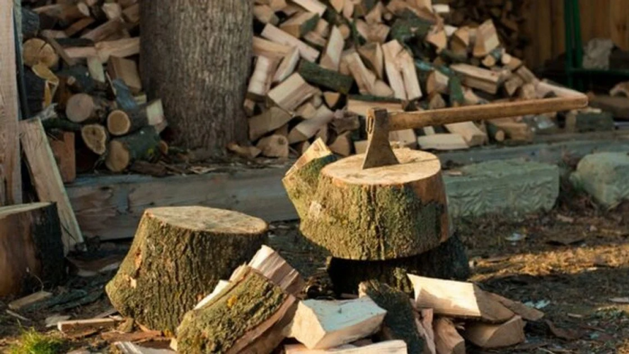 Які дрова «забирають» тепло у будинку: точно не для опалення
