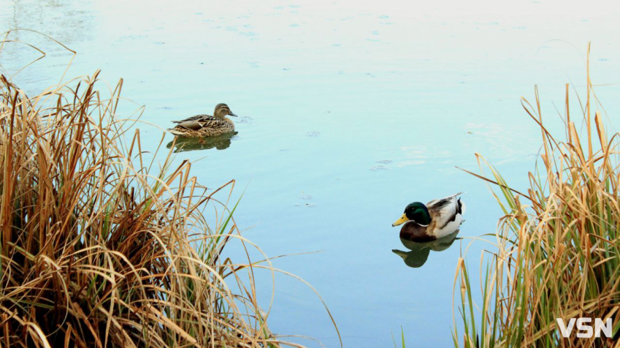До 18 градусів тепла: якою буде погода на Волині протягом робочого тижня