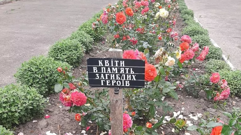 У селищі на Волині вандали знищили квіти, висаджені в пам'ять загиблих Героїв