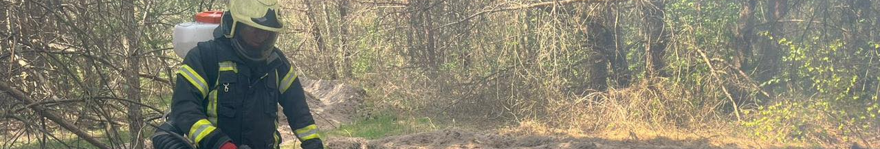 Через недопалок — пожежа: на Волині вигоріло 1,3 га лісу