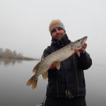 Як зловити трофейну щуку у листопаді та у які дні за місячним календарем йти на риболовлю