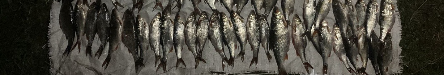 На Волині браконьєр під час нересту наловив риби на майже пів мільйона гривень