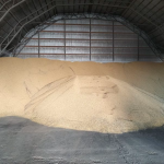 Ціна тримається, врожай стабільний: як волинські фермери завершили сезон сої