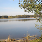 Озеро Тросне на Волині: тиха перлина серед лісів із чистою водою та риболовлею