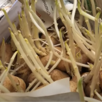 Що робити з пророслою картоплею у лютому: корисні поради