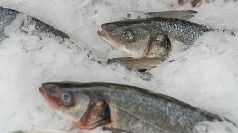 вартість льоду у замороженій рибі