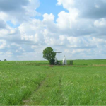 На Волині почали пошук жертв трагедії 1943 року: шукають поховання понад 350 людей