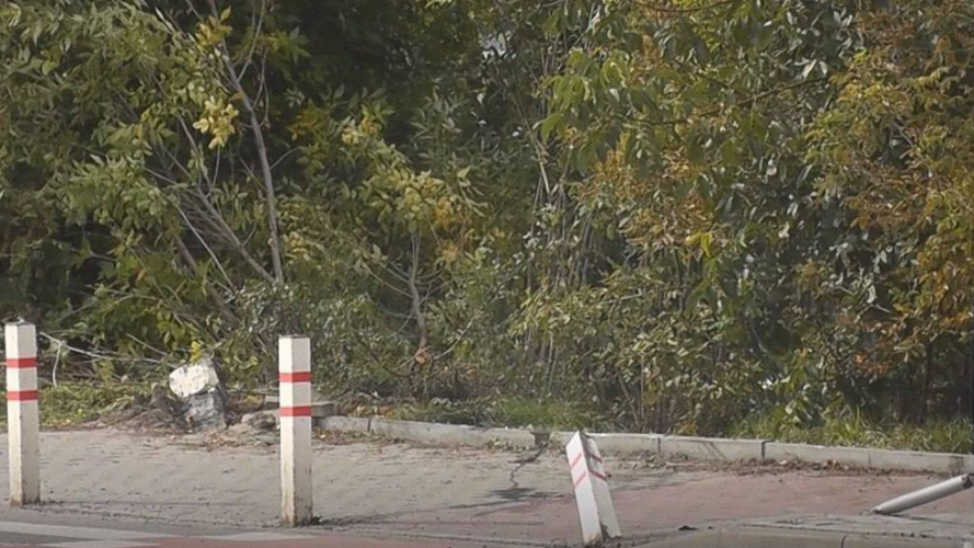 У Луцьку водійка злетіла в кювет і протаранила огородження біля мосту