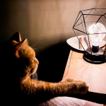 На Волині 3 квітня запровадять погодинні відключення електроенергії: графік