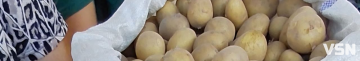 Скільки коштує молода картопля на ринку у Луцьку?
