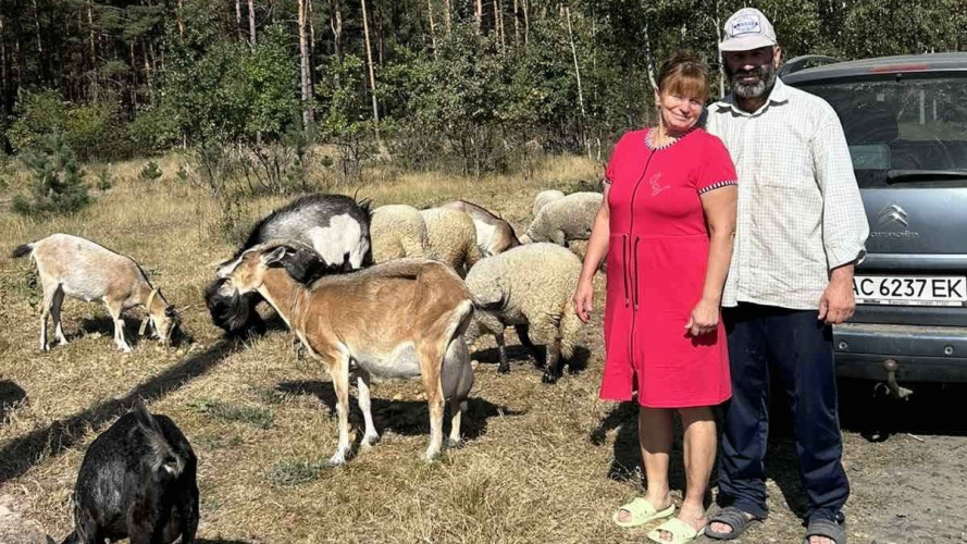 Двічі очолював сільраду, а на пенсії завів кіз: як господарює Петро Яруна з Волині