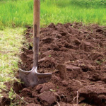 Провідна седмиця: чи можна працювати на городі у другий тиждень після Великодня чи це гріх