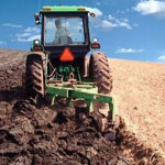 На Волині жінка незаконно засіяла землю соєю: їй присудили понад 100 тисяч гривень штрафу і конфіскували врожай