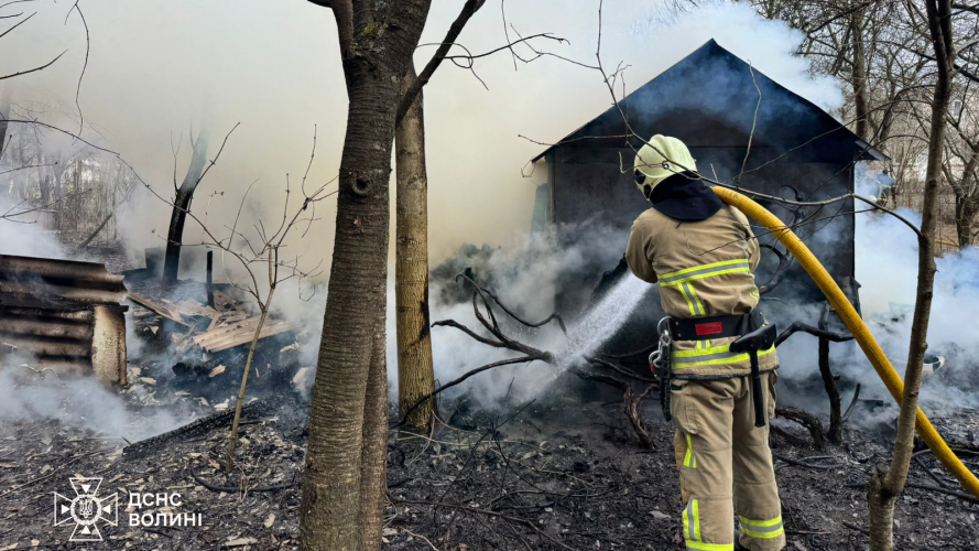 На Волині через людську недбалість згоріли хлів і понад 7 гектарів сухої трави