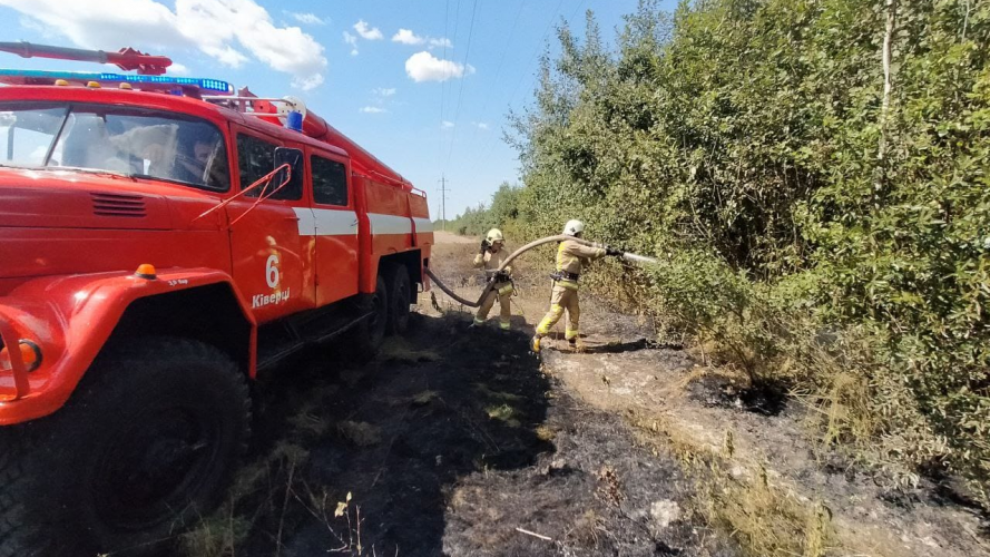 На Волині горіли чагарники