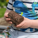 Хлопчик знайшов дивний «камінь», який виявився коренем дерева віком 300 млн років
