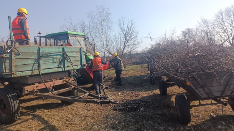 Гілля перетворюють на паливо: як у громаді на Волині економлять на опаленні шкіл