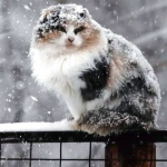 Погода в Україні 10 квітня