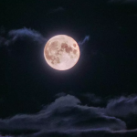 Молодик у квітні 2026 року: що категорично не можна робити