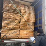 На Волинській митниці зупинили незаконний експорт соснових брусів вартістю майже 7 тисяч євро