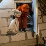 Рятувальники двічі за день ліквідовували гнізда шершнів у будинках волинян