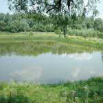На Волині підприємець без дозволів поглибив ставок і викопав ще три водойми: суд виніс вирок