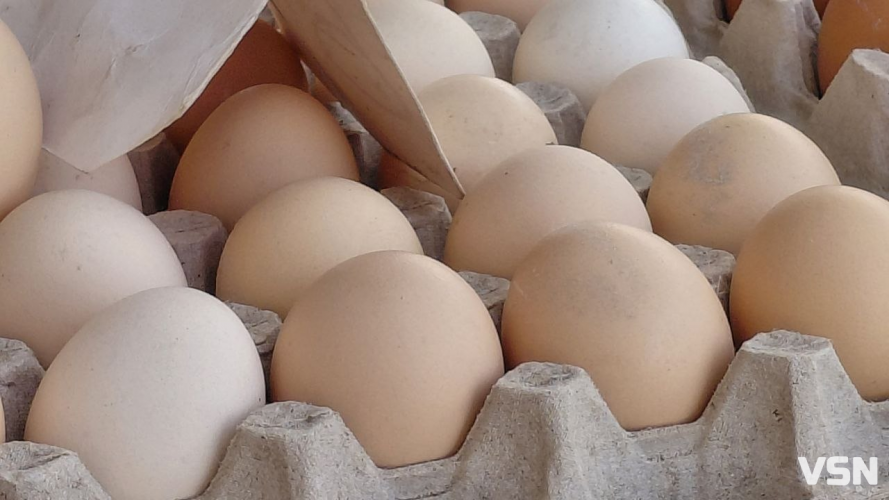 Скільки коштують яйця на ринку у Луцьку