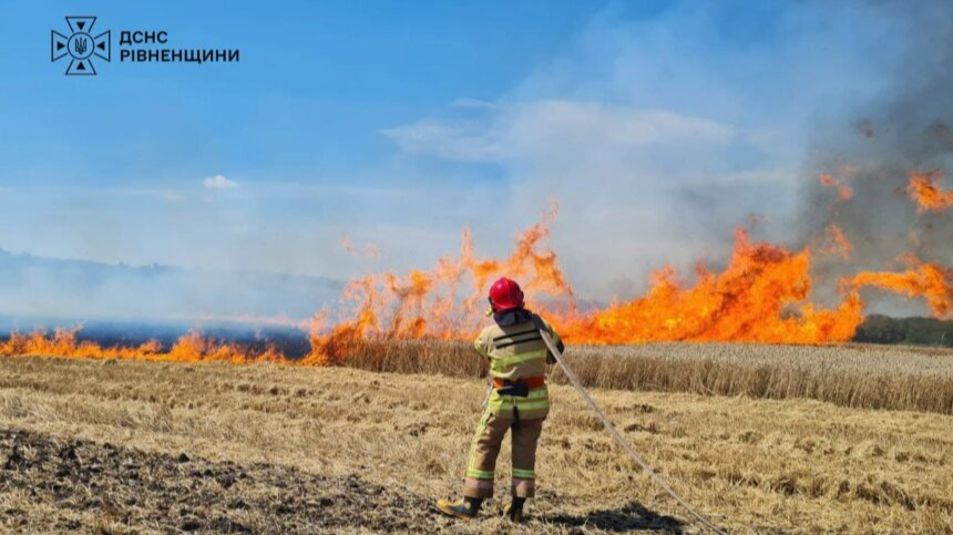 пшиничне поле, пожежа, Рівненський район