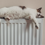 У Луцьку відновили опалювальний сезон: тепло подають у житлові будинки