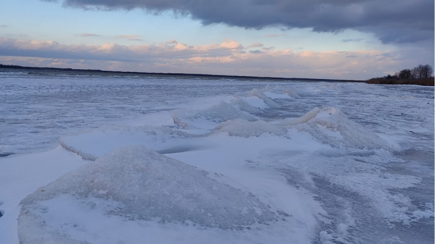 Зимова казка на Шацьких озерах: лід, сніг і тиха велич природи