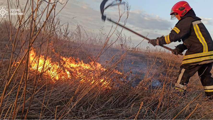 На Волині за добу загасили понад 14 гектарів вогню в екосистемах