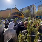 Як у Луцьку освячували вербу. Фото