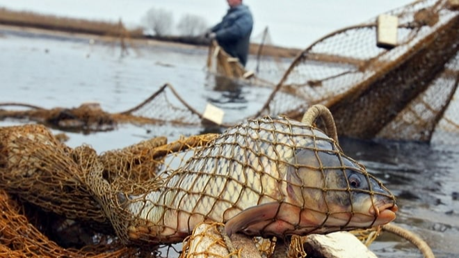 48-річного волинянина засудили на незаконну риболовлю