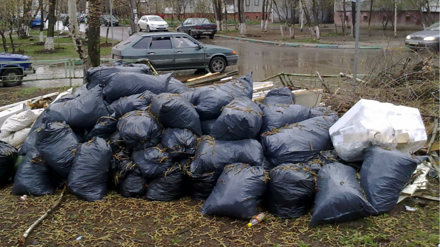 Щодень привозять сміття мішками: лучани скаржаться на приїжджих автомобілістів