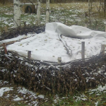 Компост узимку не має «заснути» – 4 прості поради, щоб гниття тривало навіть у морози