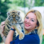 Чому Луцький зоопарк здав у оренду тигрицю Трішу