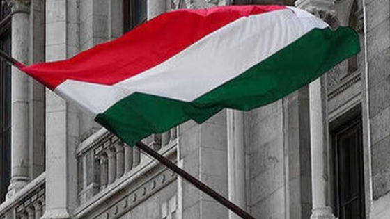 Угорщина терміново скликає Раду безпеки через російські обстріли