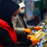 українці в Польщі