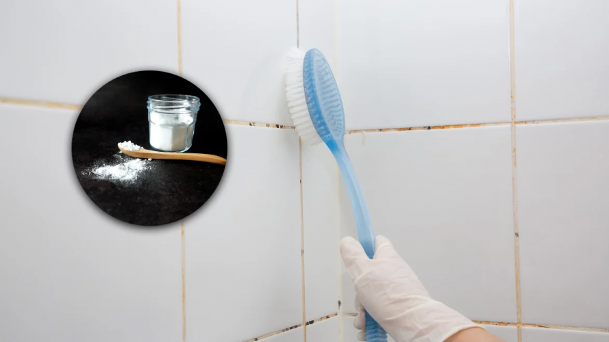 Як швидко і без витрат очистити шви між плиткою