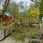 дерево впало на дитячий майданчик