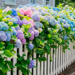 Весняний догляд за гортензіями: як отримати пишне цвітіння та здорові кущі