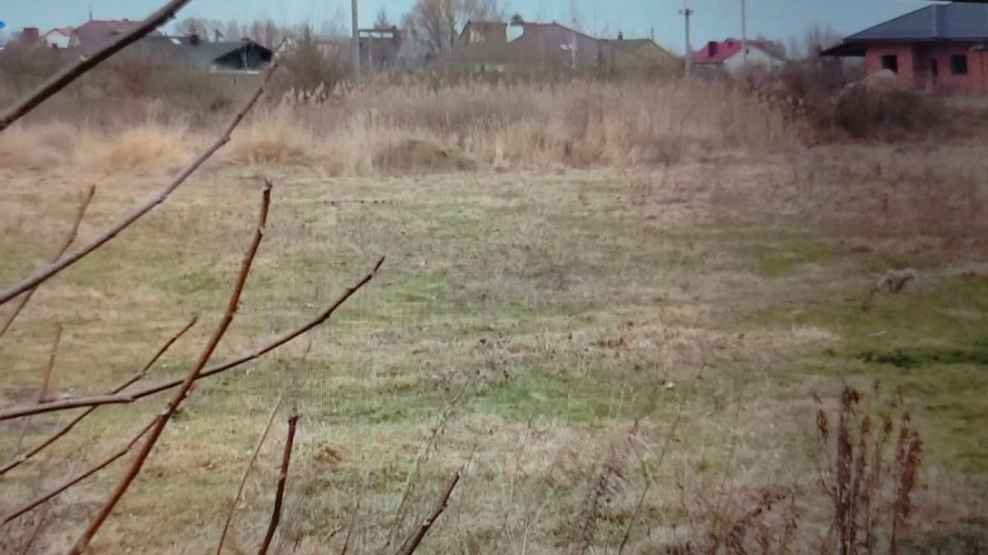 Стадіон чи дерибан: у Луцьку сперечаються через 2 га комунальної землі