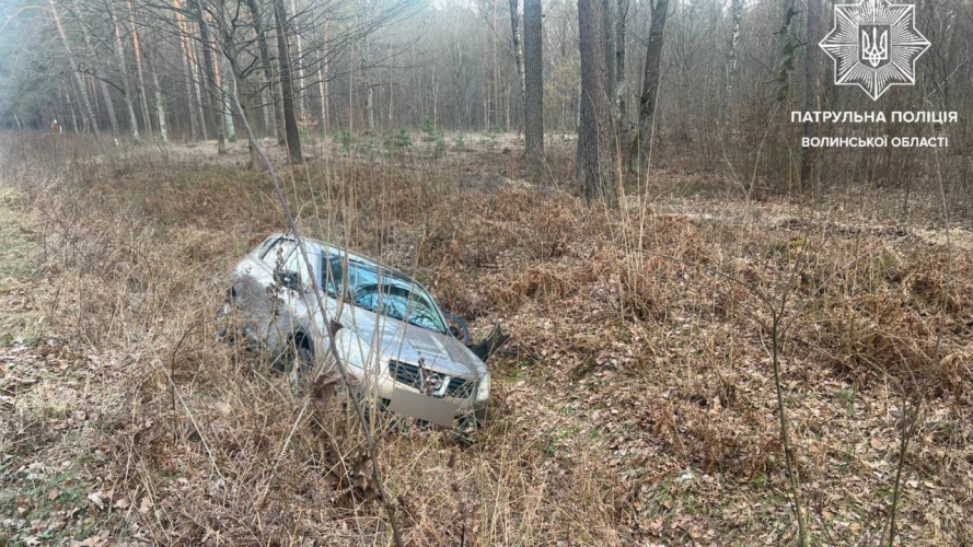 На Волині п'яний водій з’їхав у кювет