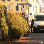 Скільки коштують живі ялинки та сосни на ринку у Луцьку?